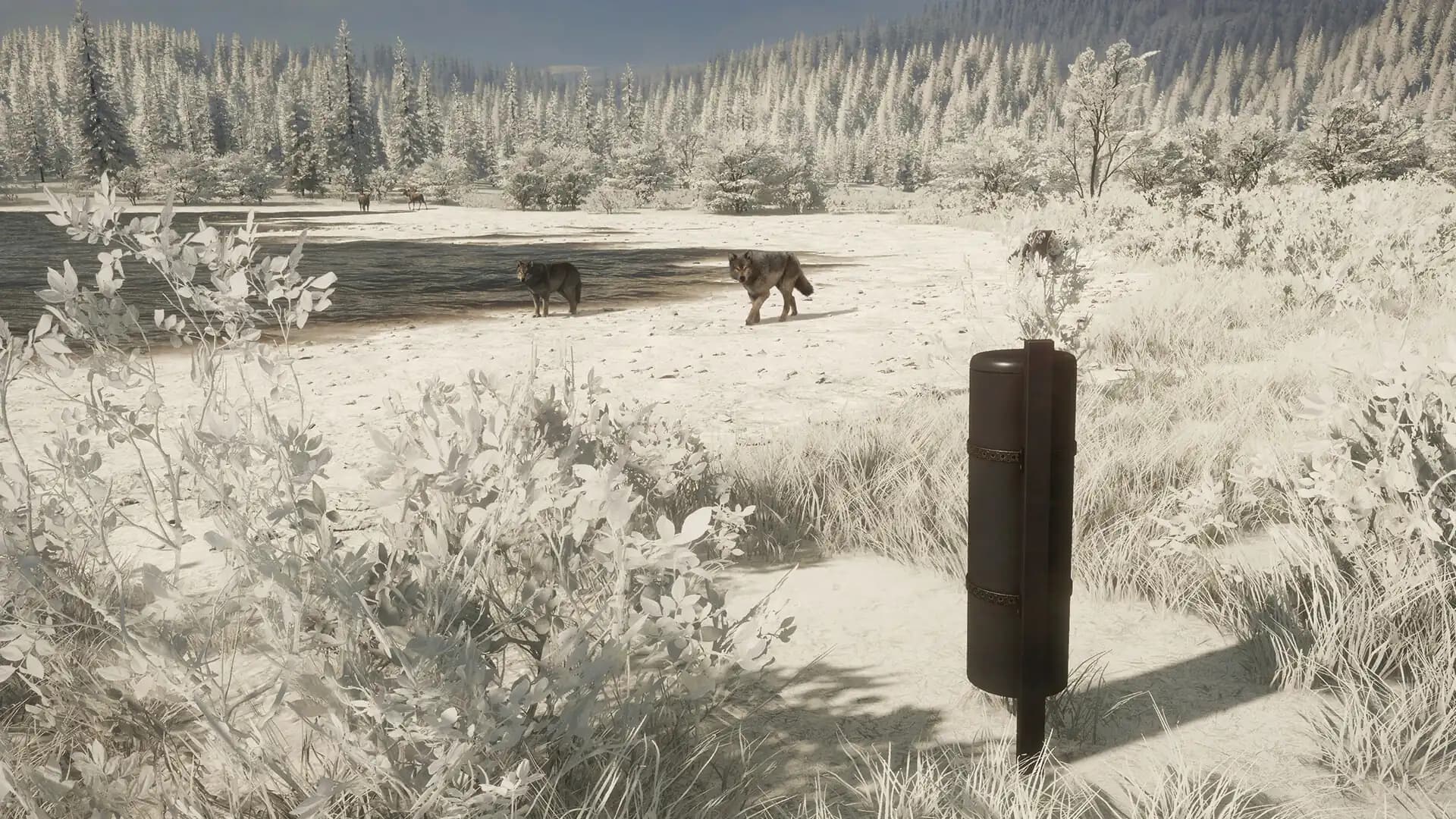 theHunter: Call of the Wild - Game Feeder Pack 2 media 2