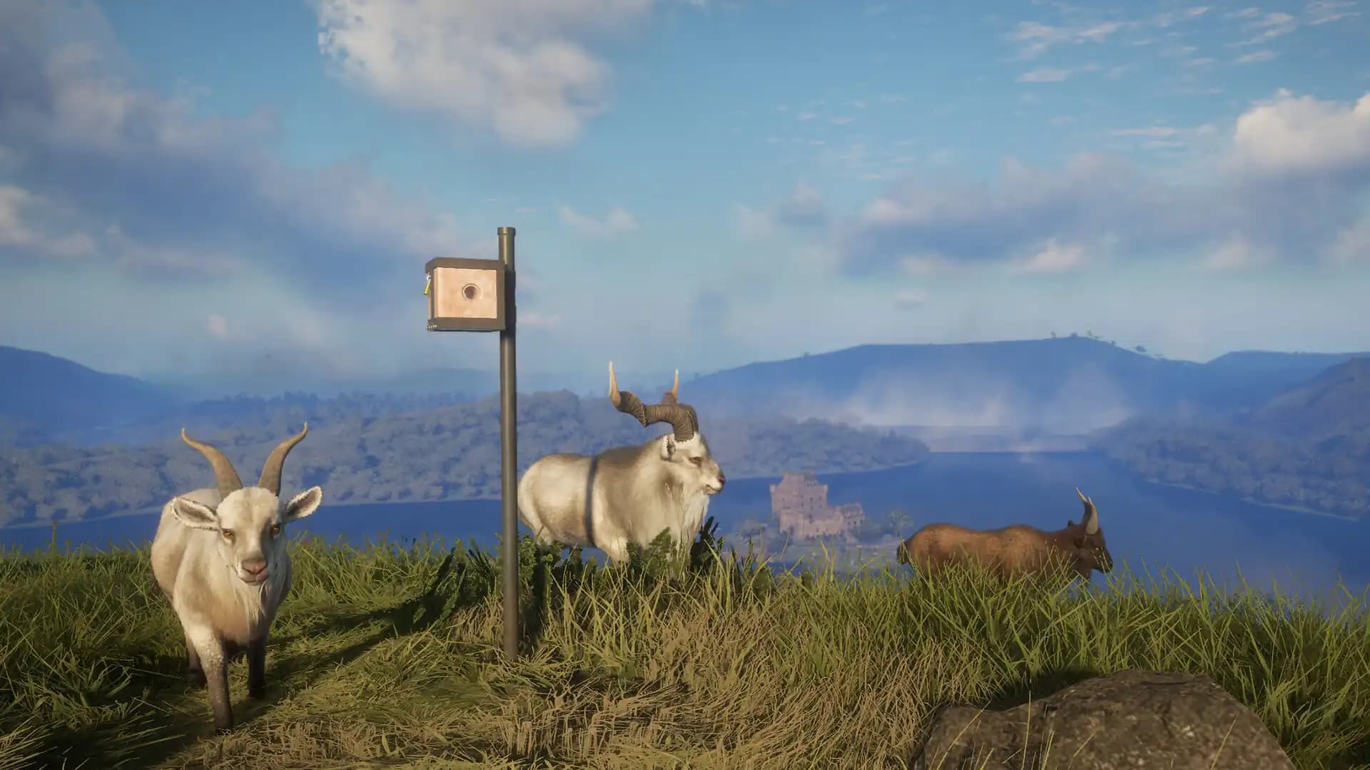 theHunter: Call of the Wild - Game Feeder Pack 2 media 5