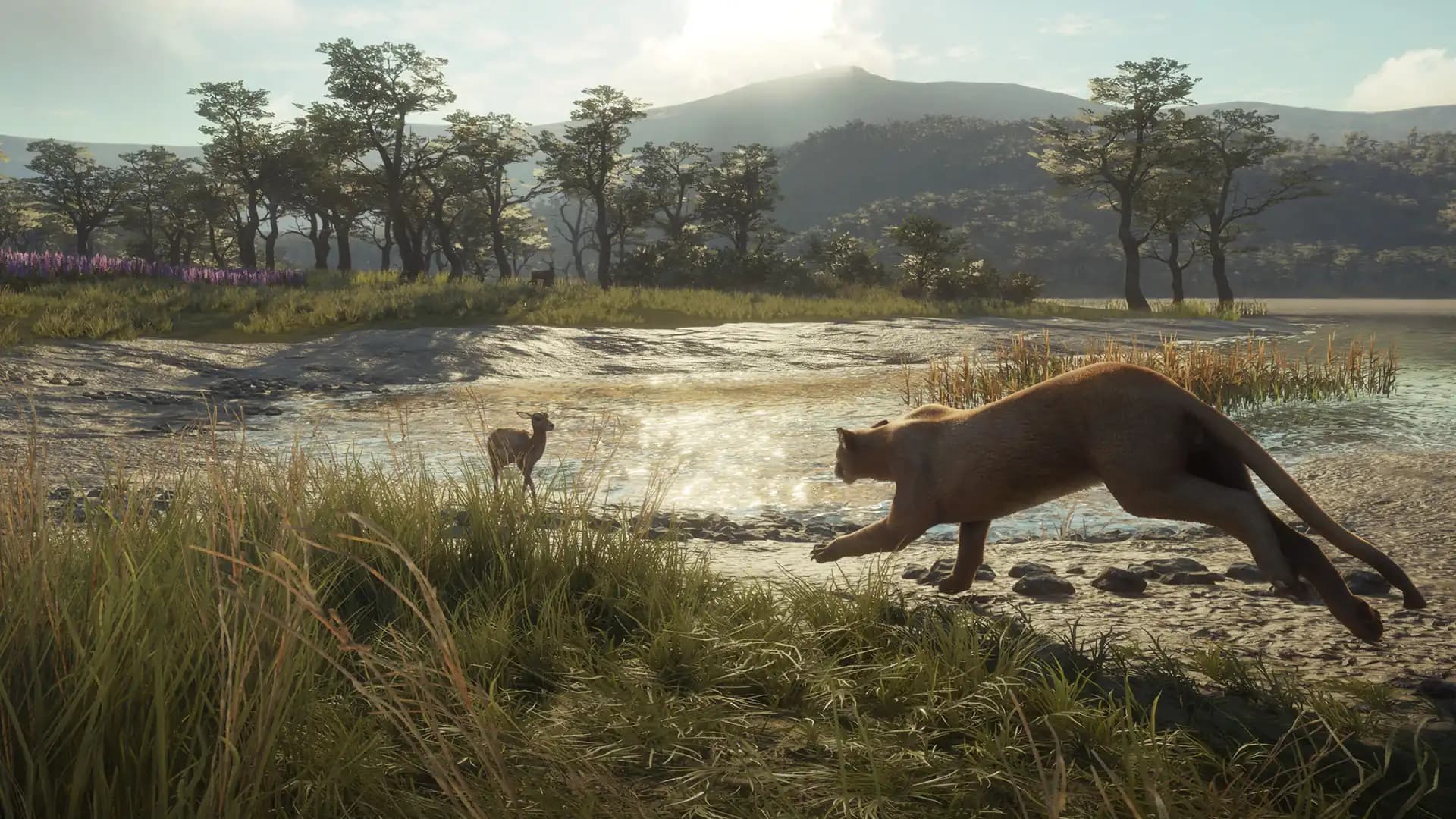 TheHunter: Call of the Wild - Parque Fernando media 1