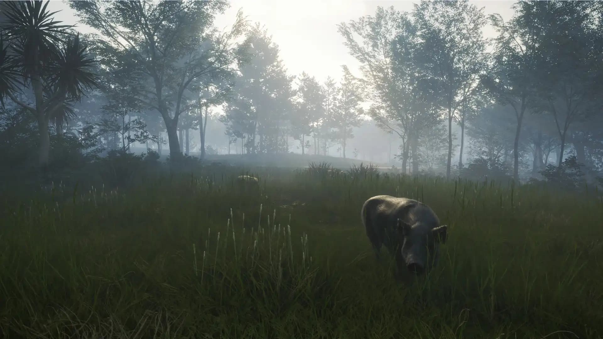 theHunter: Call of the Wild - Te Awaroa National Park media 3