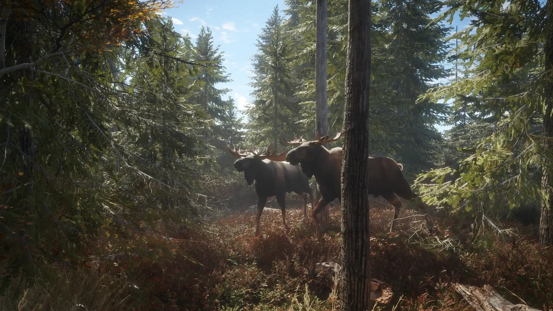 TheHunter: Call of the Wild 2019 Edition media 1
