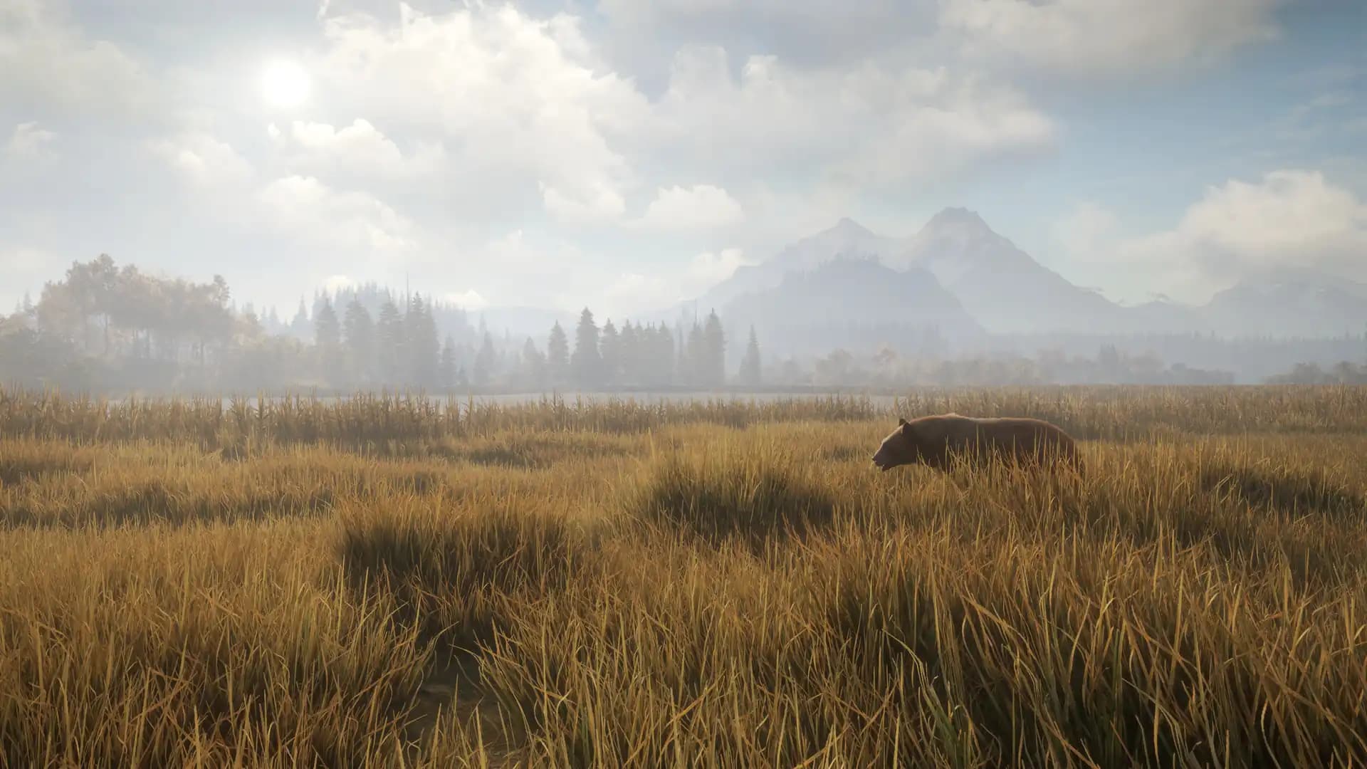 TheHunter: Call of the Wild 2019 Edition media 2