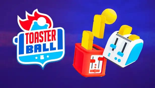 Toasterball cover