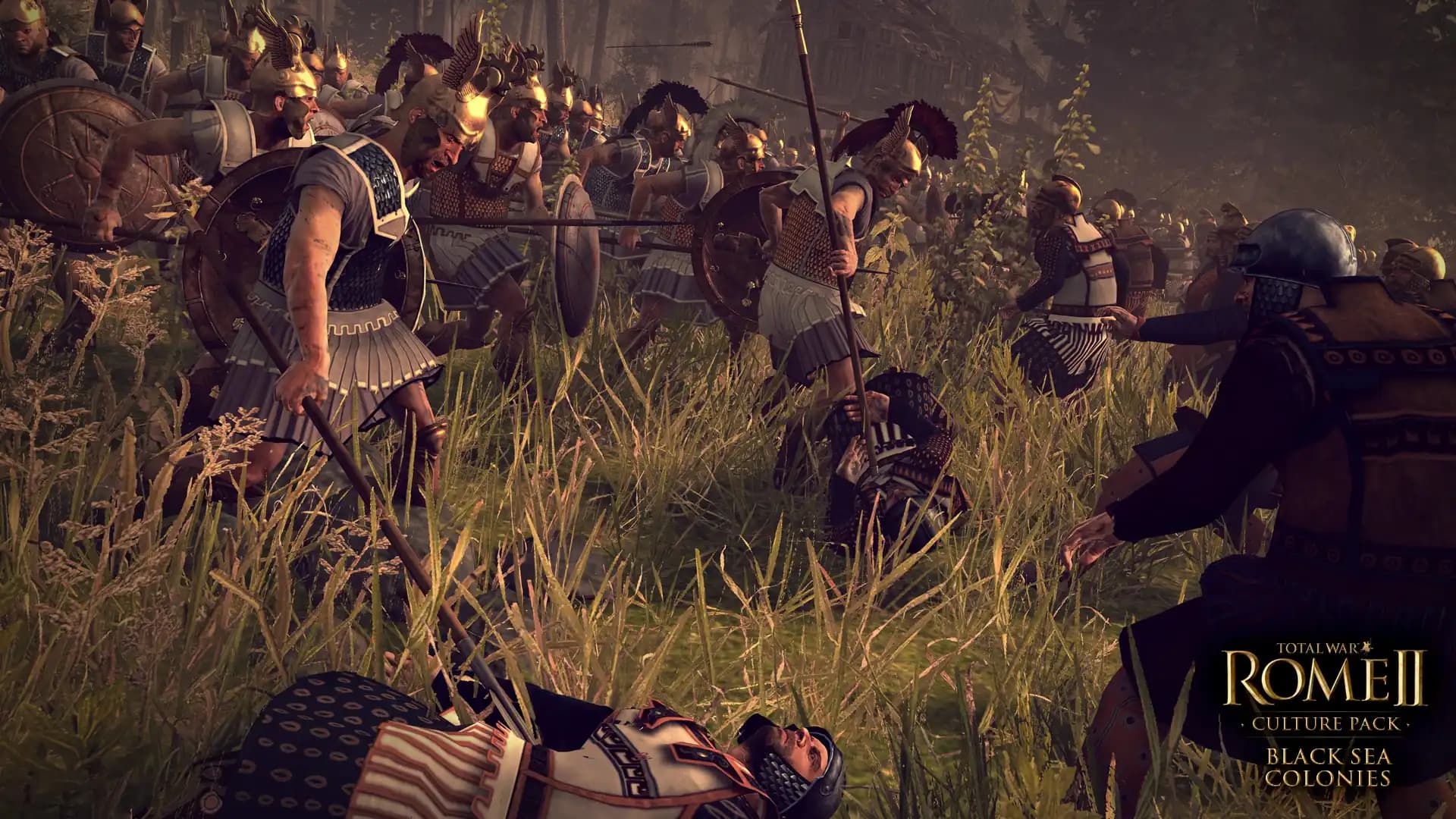Total War: Rome II - Black Sea Colonies Culture Pack media 4