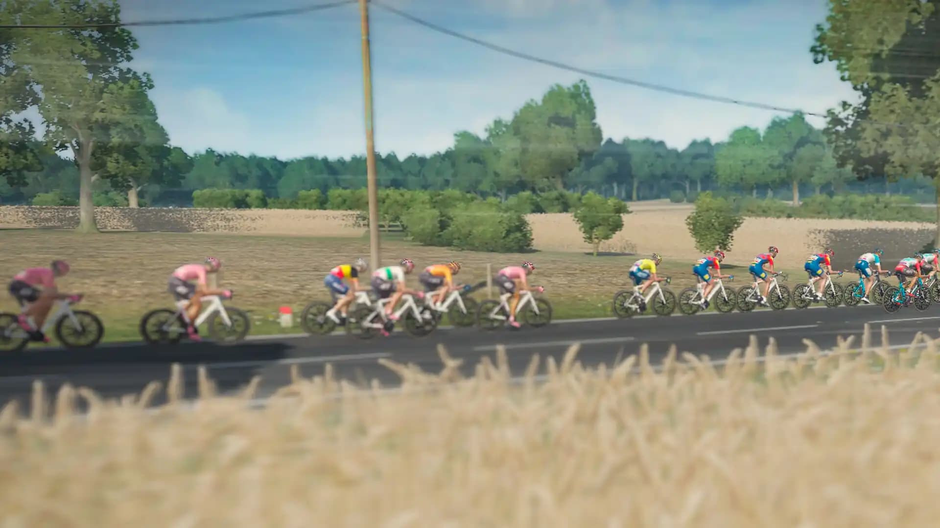 Tour de France 2024 media 5
