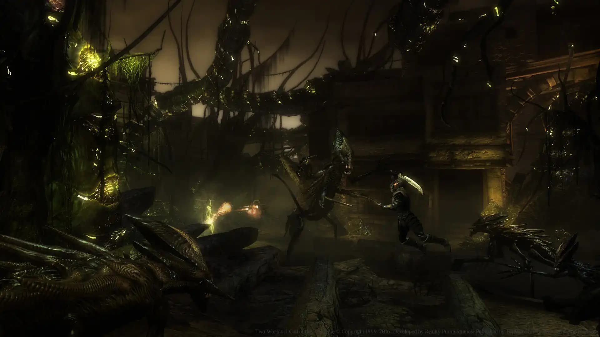 Two Worlds II - Call of the Tenebrae media 4