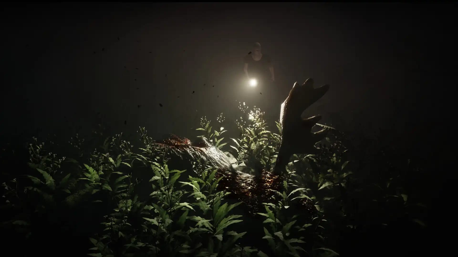 Unforgiving - A Northern Hymn media 2