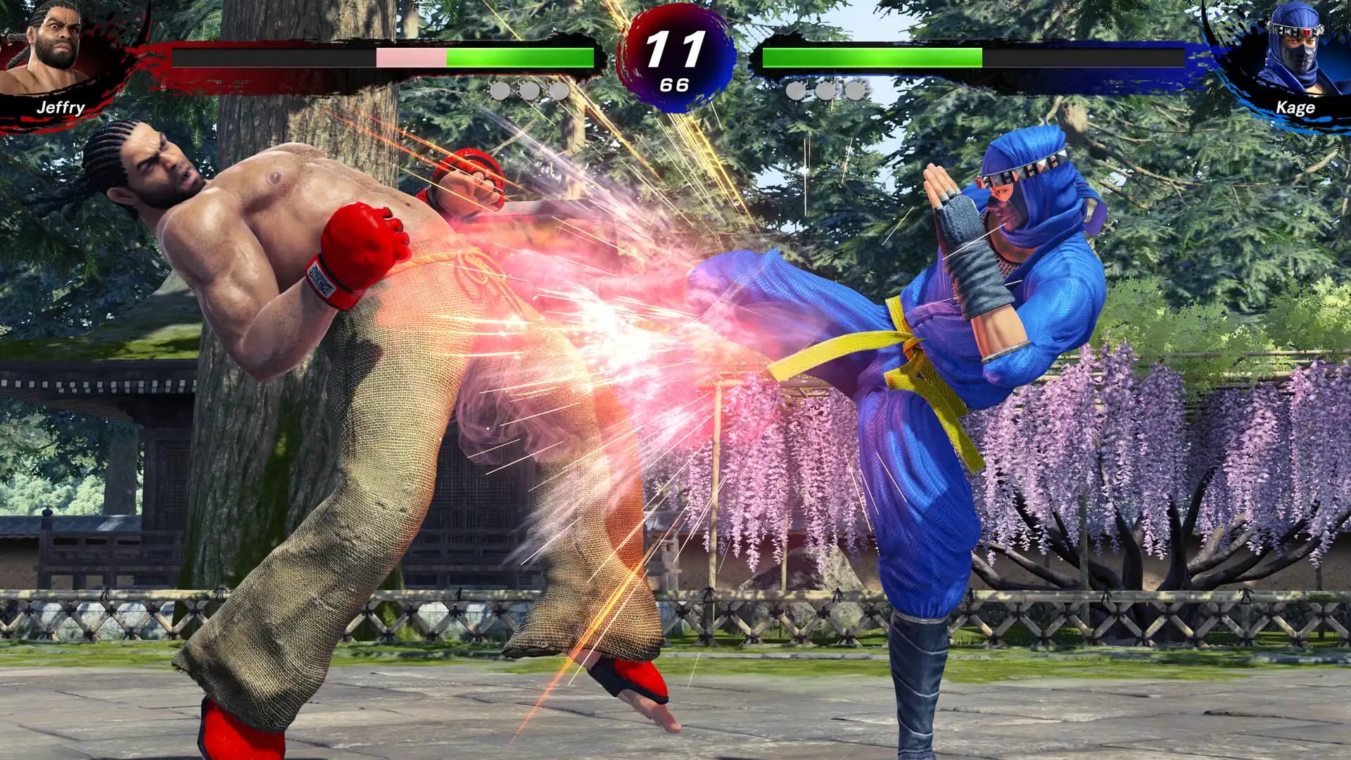 Virtua Fighter 5 R.E.V.O. World Stage - 30th Anniversary Edition media 3