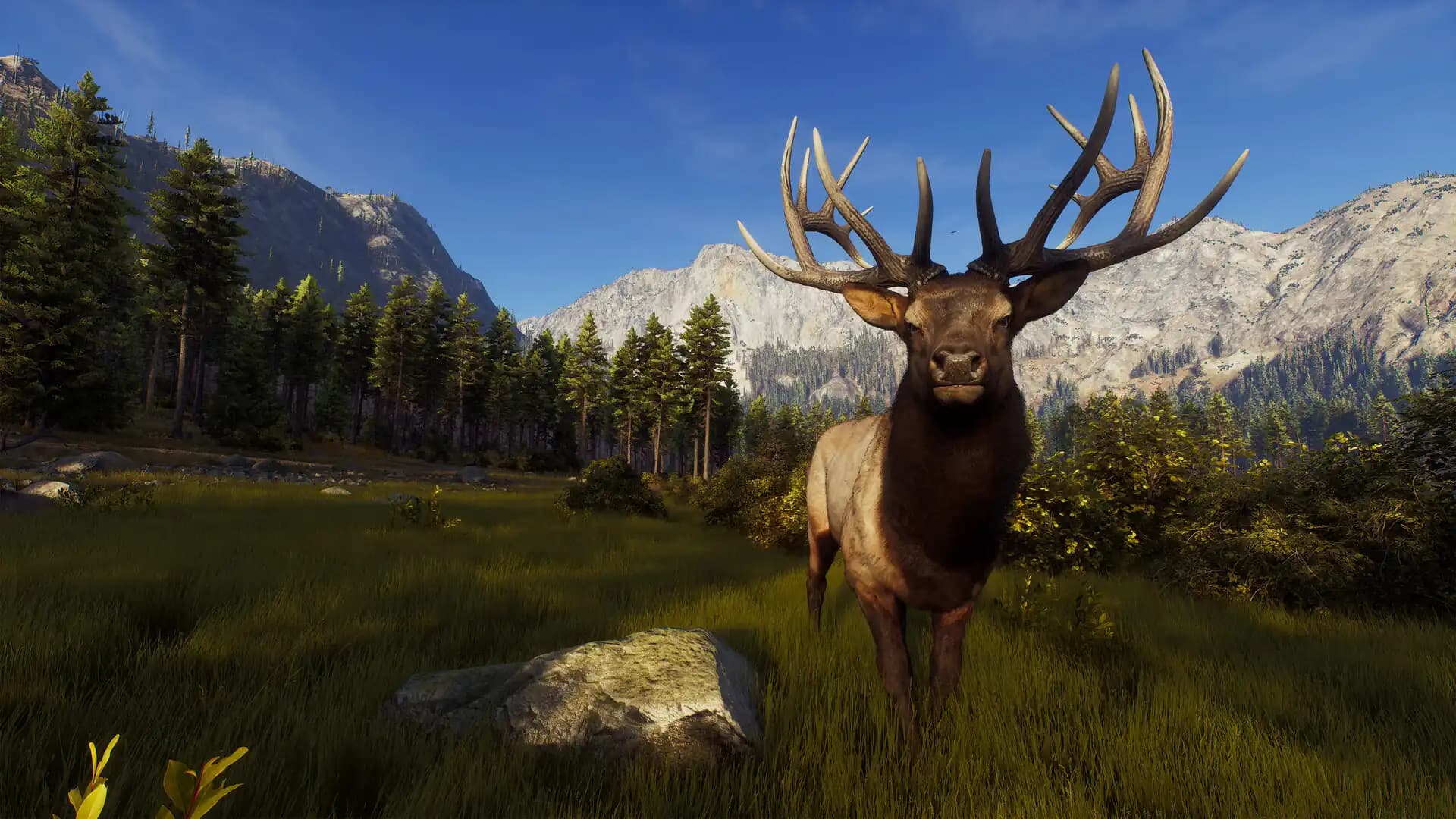 Way of the Hunter media 1