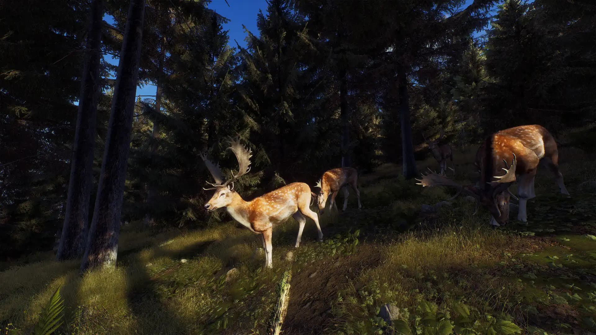 Way of the Hunter media 2