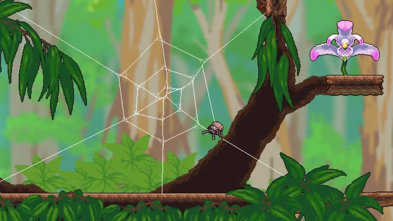 Webbed media 1