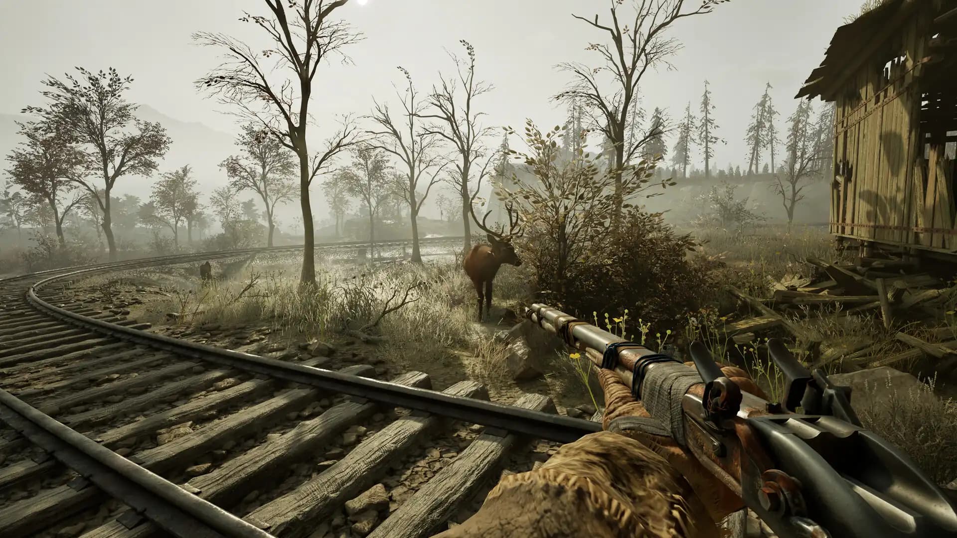 Winter Survival media 1