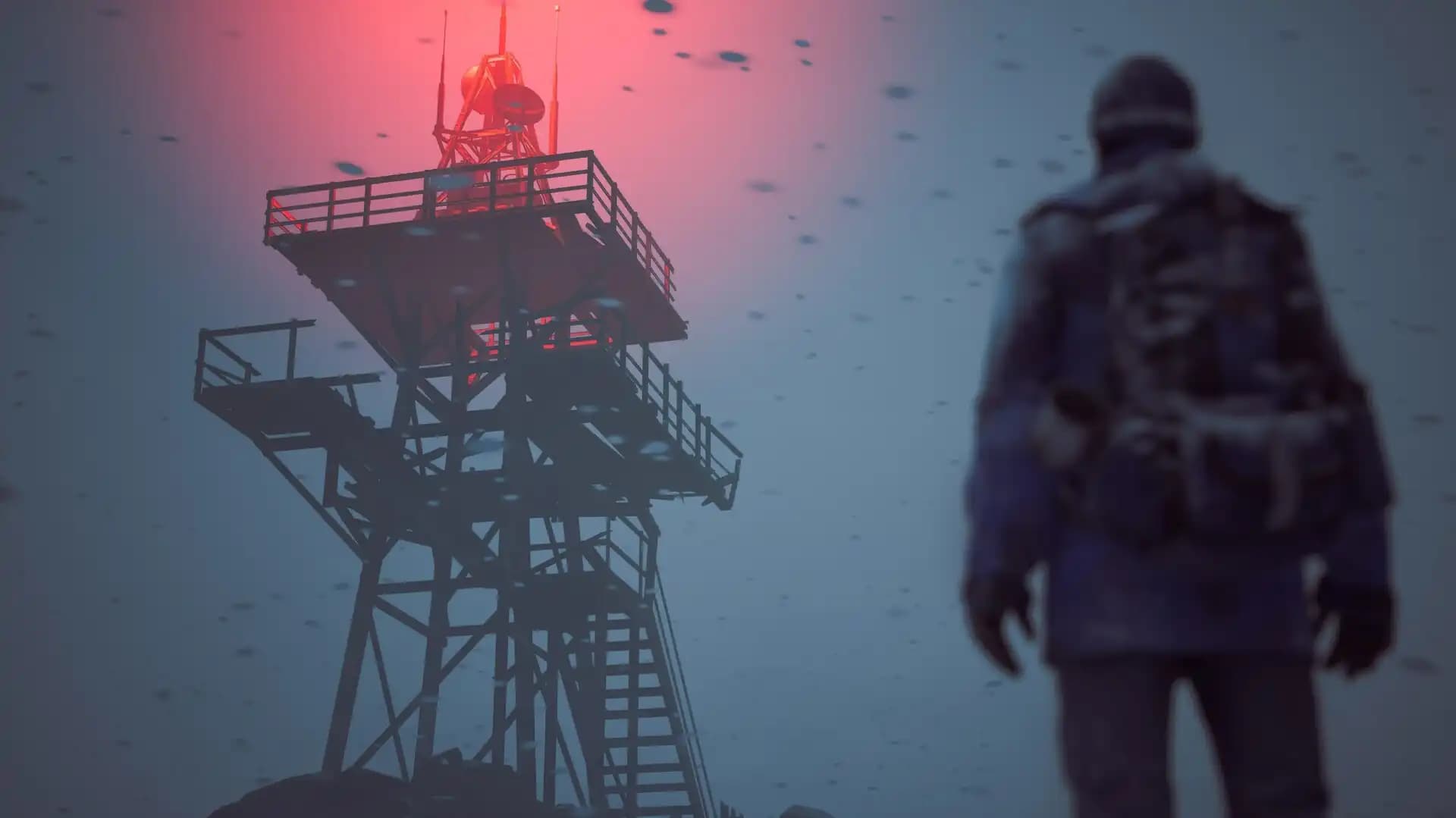 Winter Survival media 2
