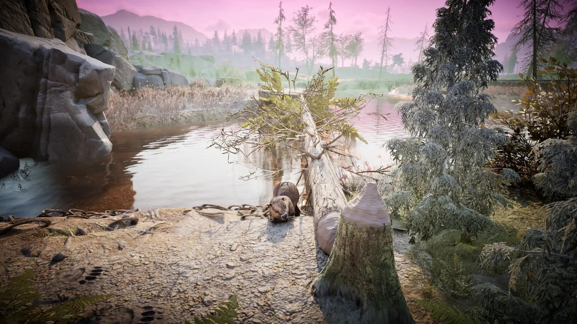 Winter Survival media 4