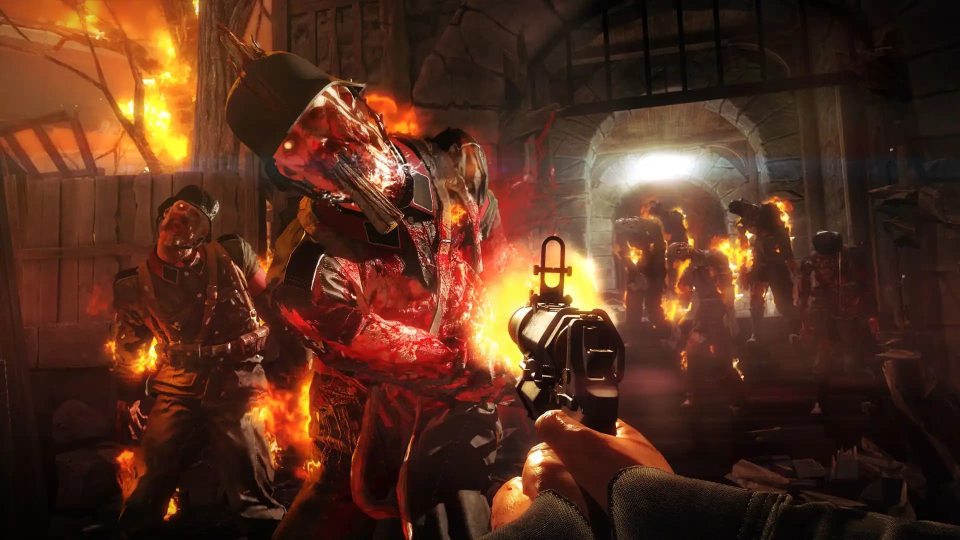 Wolfenstein: The Two Pack media 4