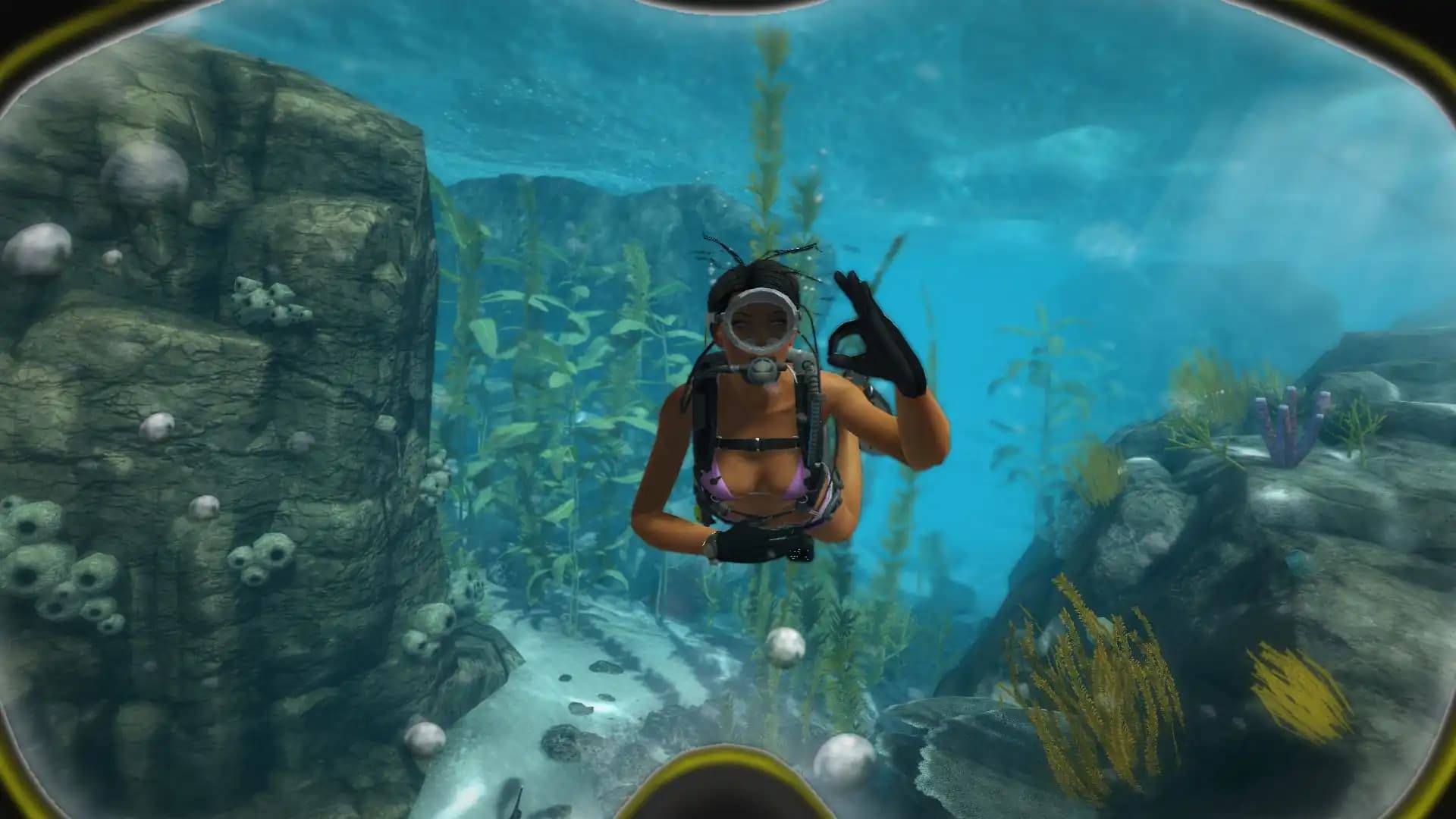 World of Diving media 2