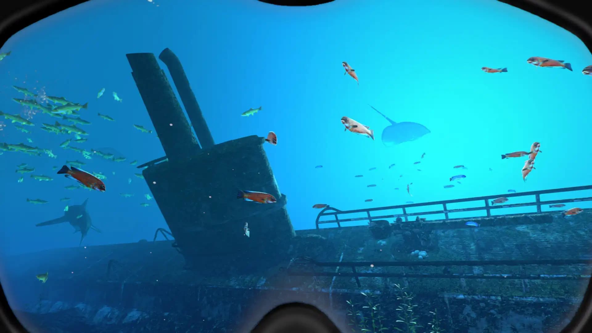 World of Diving media 5