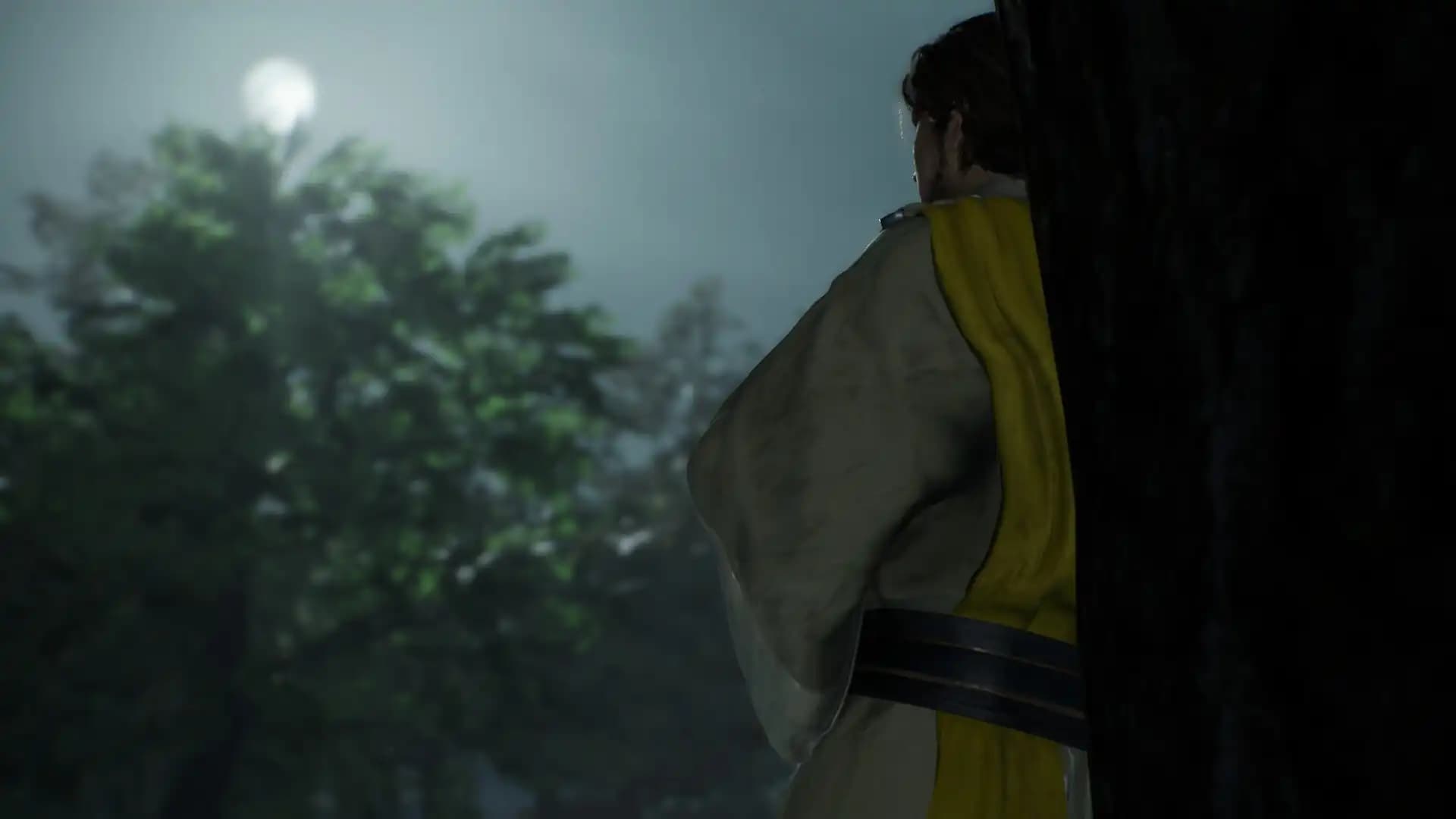 Dynasty Warriors: Origins Visions of Four Heroes media 4