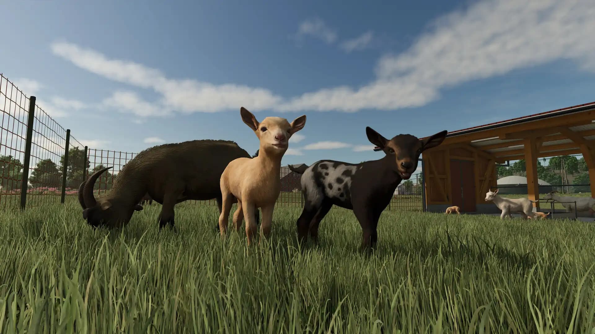 Farming Simulator 25 Highlands Fishing Edition media 2