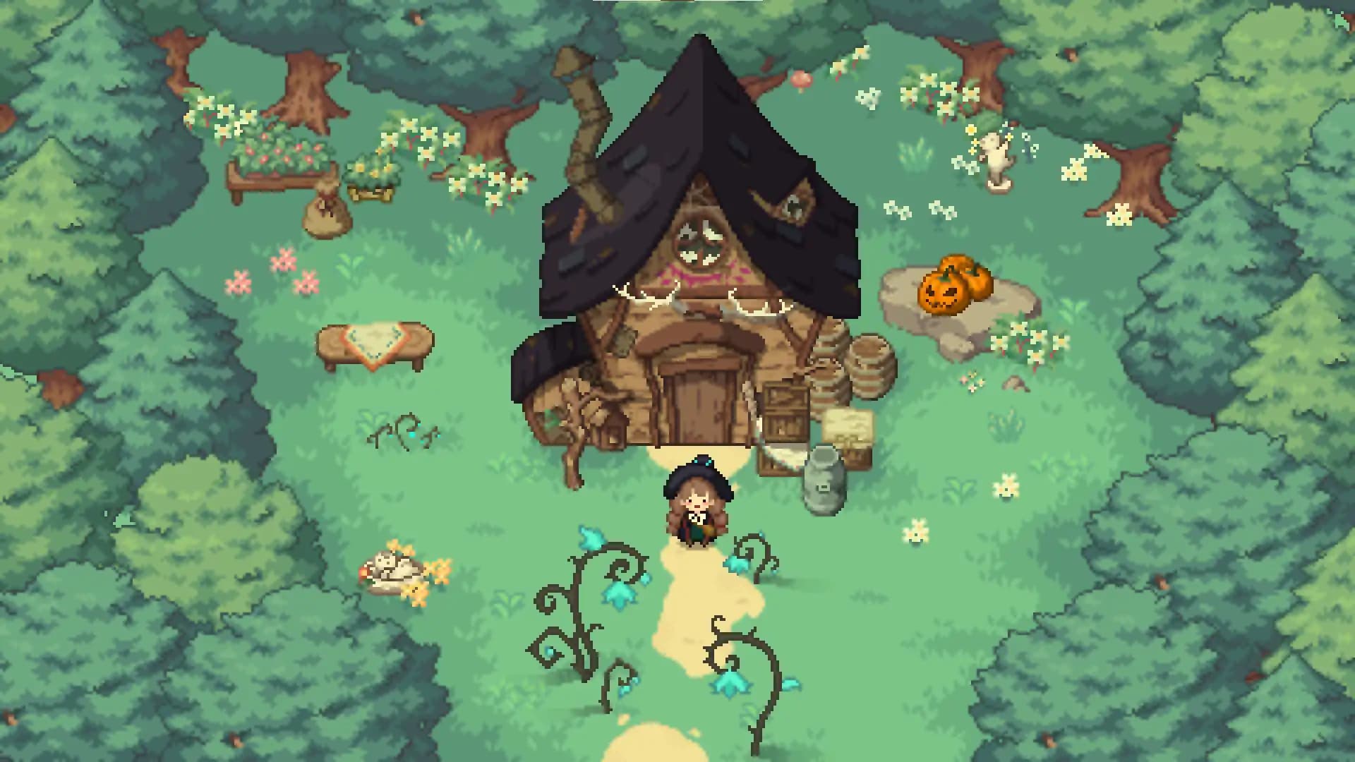 Little Witch in the Woods media 1