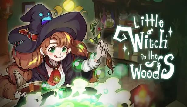 Little Witch in the Woods cover