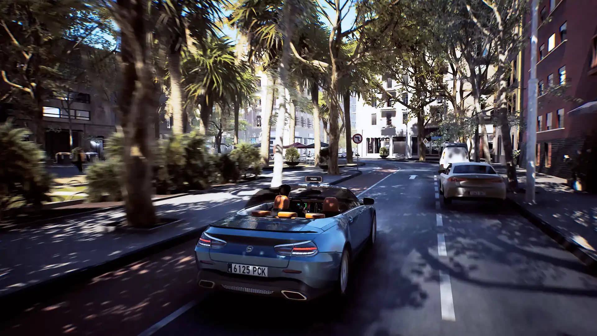 Taxi Life: A City Driving Simulator - VIP City Guide media 3