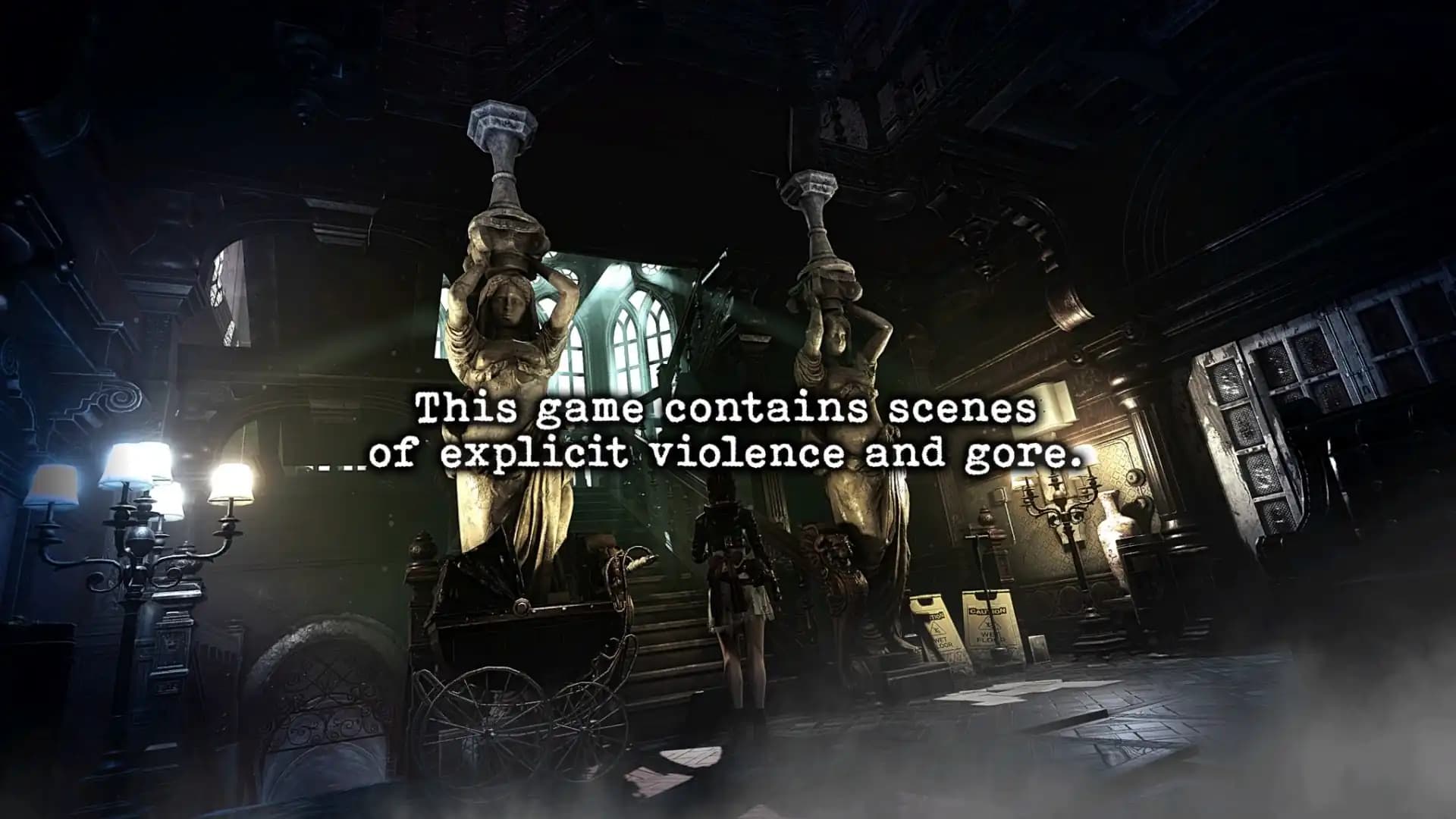 Tormented Souls media 2