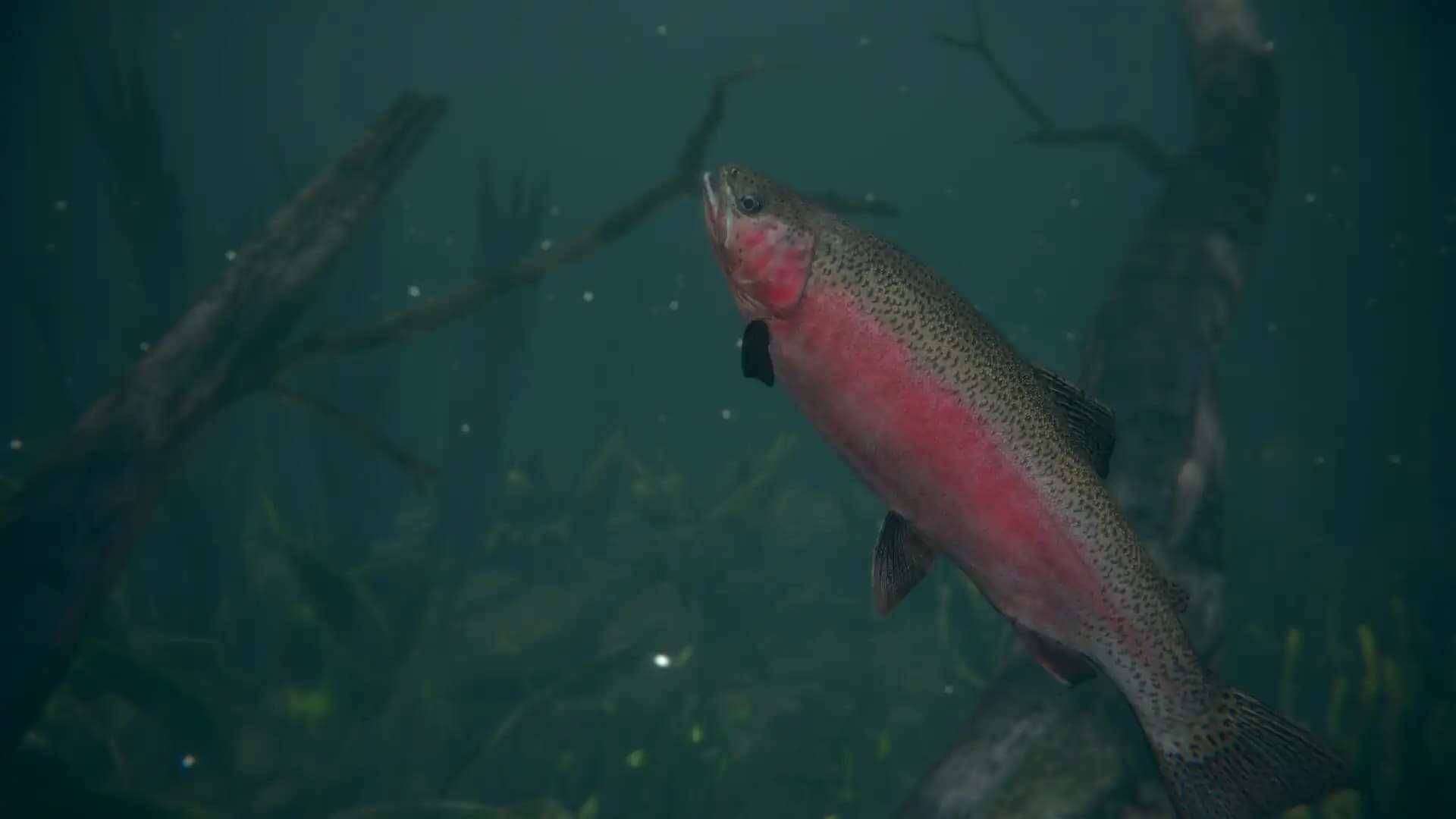 Ultimate Fishing Simulator 2 media 1