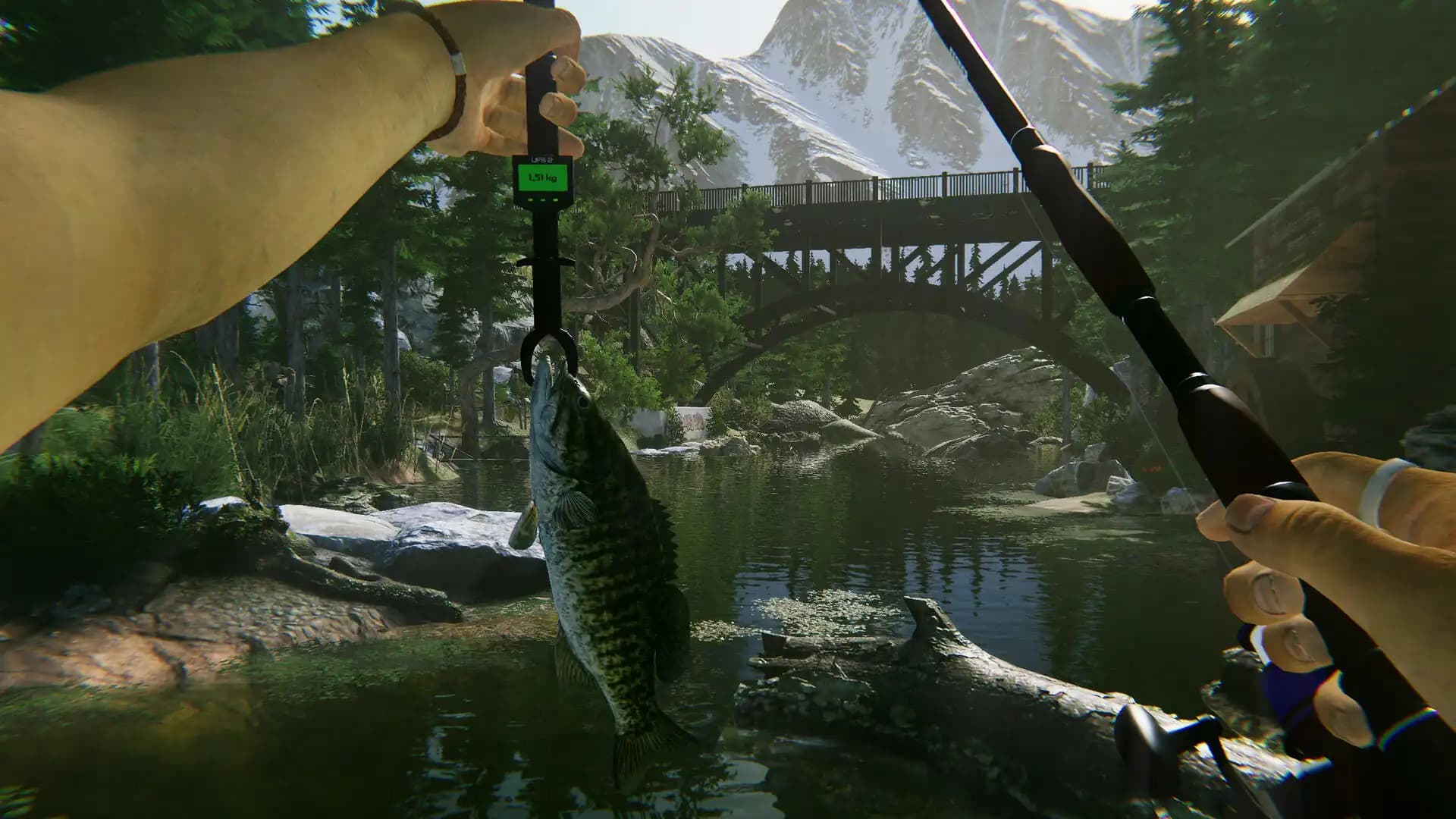 Ultimate Fishing Simulator 2 media 3