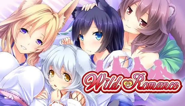 Wild Romance cover