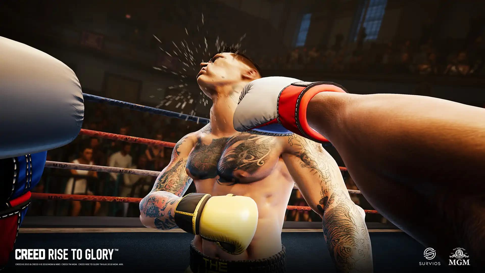 Creed: Rise to Glory media 3