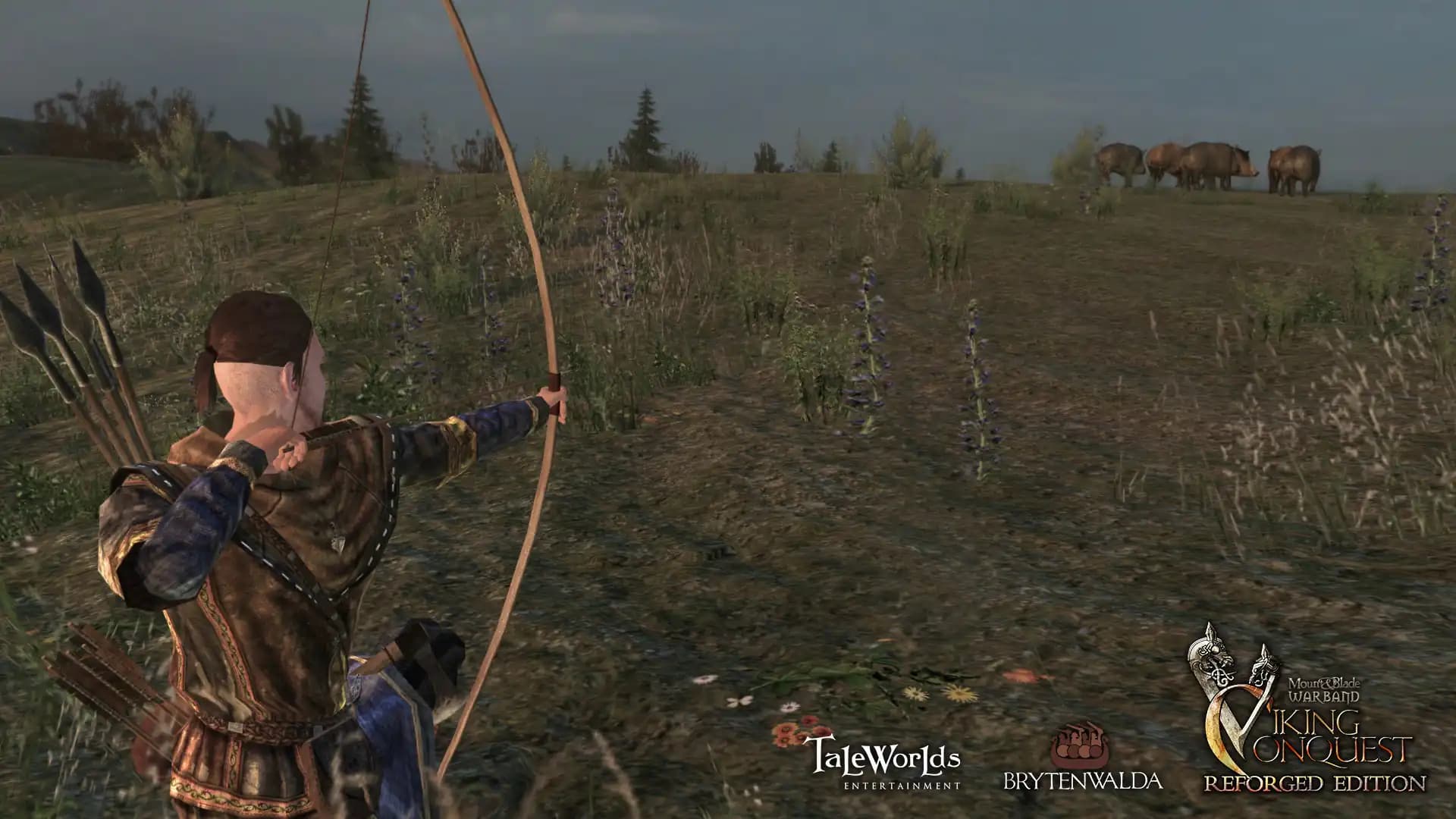 Mount & Blade: Warband - Viking Conquest Reforged Edition media 2