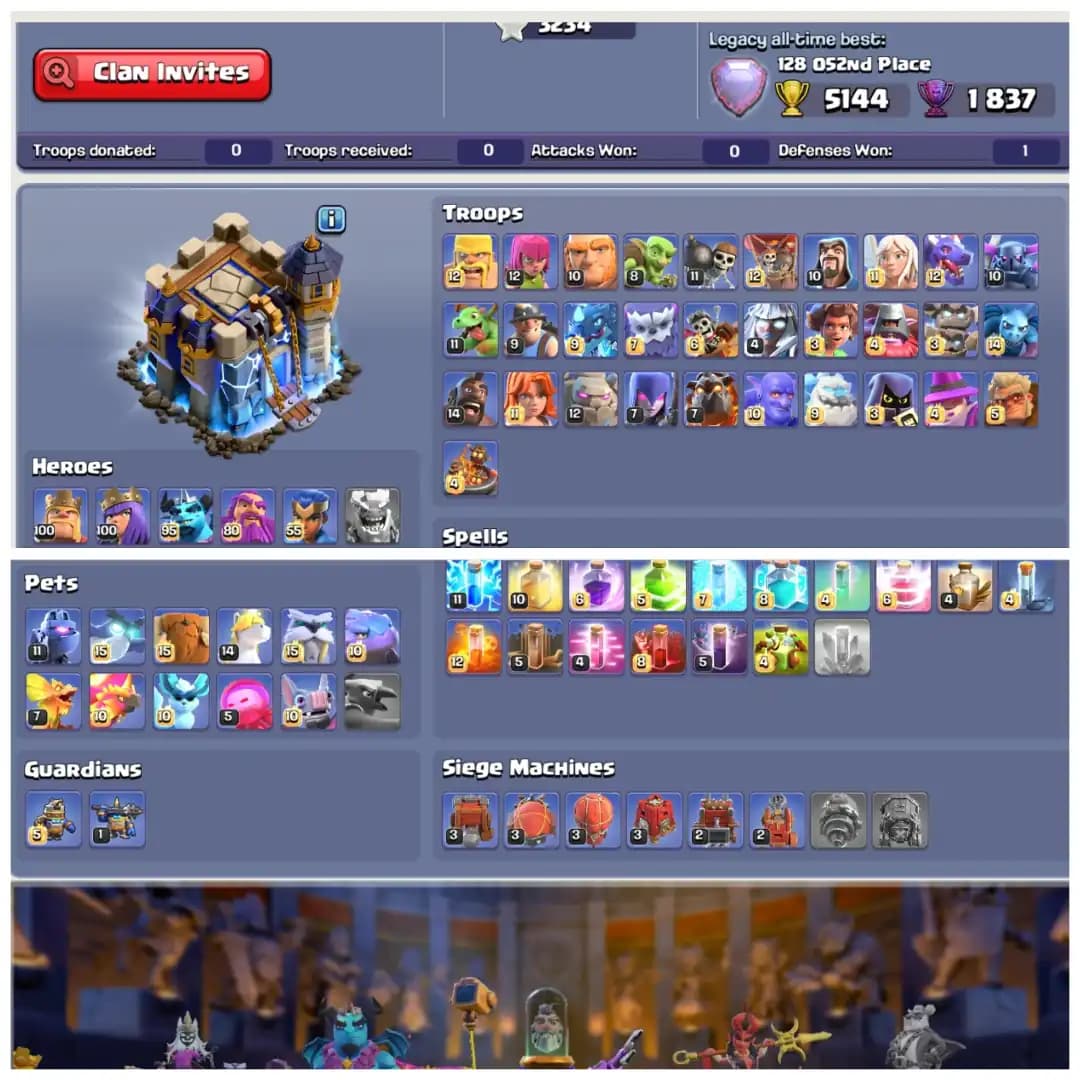 TH18 Premium Max π XP 264 π Mostly Max Account π 19 Hero Skins π Fully Stacked π All 15 Epic Equipments π 5 Epics Max π Instant Delivery